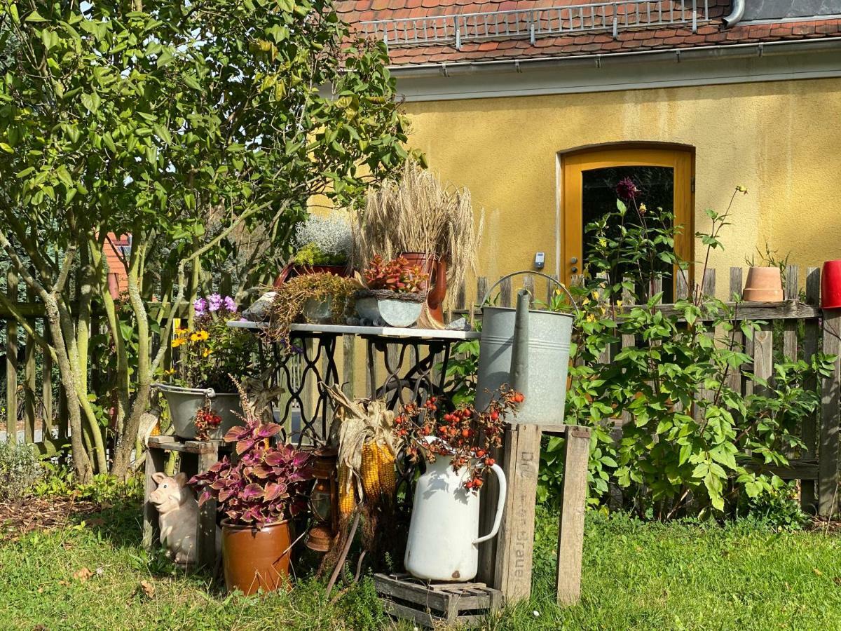 Moderne Pension Vonbartsch Mit Ladestation In Der Saechsischen Schweiz Struppen Exterior photo